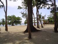 Beach in Front of Gumbalimba Park Restaurant